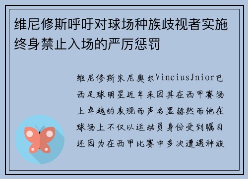 维尼修斯呼吁对球场种族歧视者实施终身禁止入场的严厉惩罚 维尼修斯呼吁对球场种族歧视者实施终身禁止入场的严厉惩罚