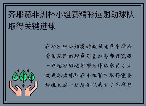 齐耶赫非洲杯小组赛精彩远射助球队取得关键进球
