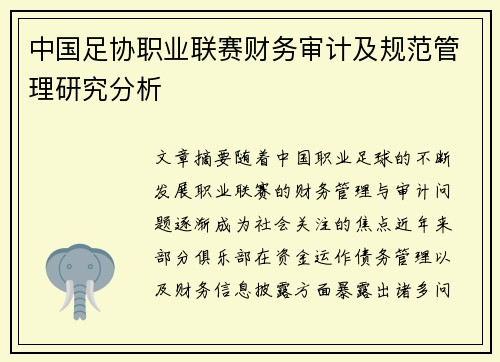 中国足协职业联赛财务审计及规范管理研究分析 中国足协职业联赛财务审计及规范管理研究分析
